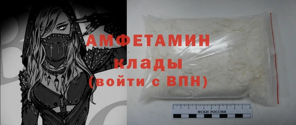 прущие грибы Армянск
