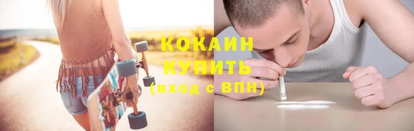 прущие грибы Армянск
