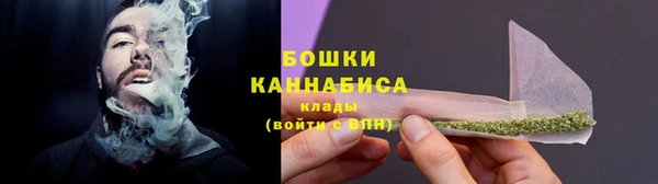 ешки Арсеньев