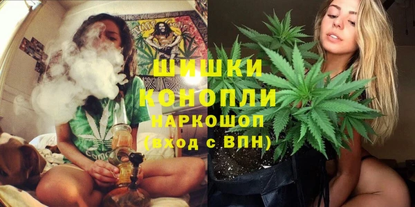 амф Аркадак