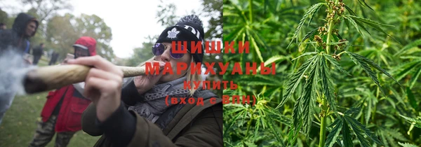 ешки Арсеньев