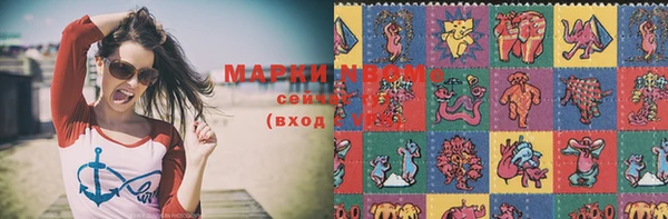 прущие грибы Армянск