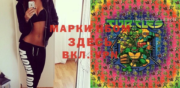 ешки Арсеньев