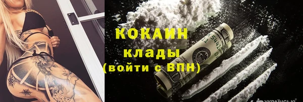 прущие грибы Армянск