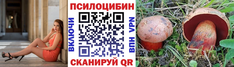 мега онион  Сковородино  Псилоцибиновые грибы Magic Shrooms  хочу  