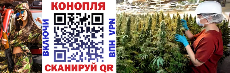 Каннабис сатива  Сковородино 